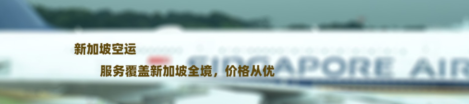 新加坡貨貨運(yùn)代理 新加坡國(guó)際物流公司  新加坡進(jìn)出口報(bào)關(guān)公司 新加坡國(guó)際貨運(yùn)代理有限公司